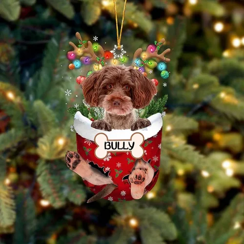 Vista 192 de IZI POD Affenpinscher Adorno de Navidad personalizado para perro, adorno de bolsillo de nieve para perro para árbol de Navidad, adorno acrílico