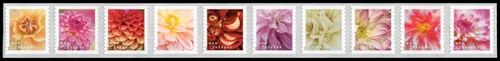 Vista 6 de Dahlias 2025 (Libro de 20) Sellos Postales Forever de Primera Clase
