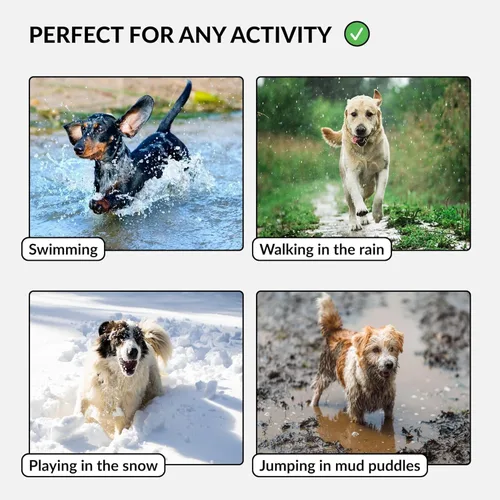 Vista 4 de CollarDirect Collar de perro impermeable – Silicona, plástico, resistente al olor, fácil de limpiar, para perros pequeños, medianos y grandes