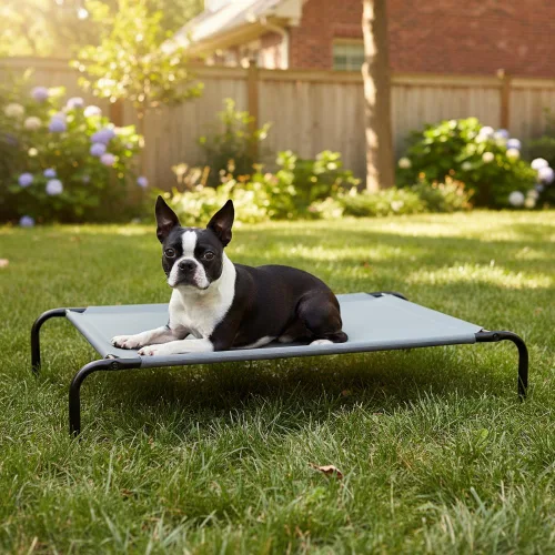 Vista 9 de Amazon Basics Cama elevada transpirable y refrescante para perros con marco de metal para perros grandes, 51 x 31 x 8 pulgadas, color gris