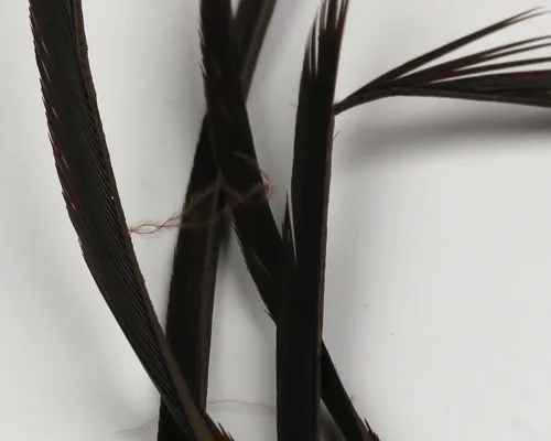 Vista 15 de Hareline Fly Tying Stripped Goose Biots – Natural Goose Biots for Fly Tying Nymph Bodies, Tails & Wings