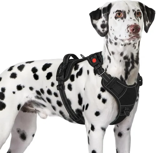 Vista 21 de Eagloo Arnés para perro de tamaño pequeño, fácil de llevar con 3 hebillas, arnés ajustable sin tirones para mascotas con sistema MOLLE, chaleco