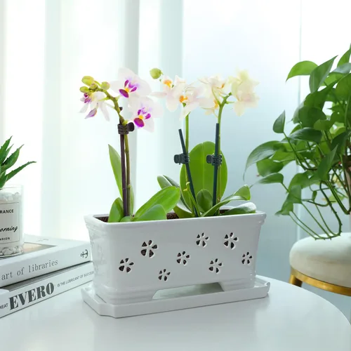 Vista 5 de Maceta rectangular de cerámica para orquídeas de 10 pulgadas con agujeros y platillo, color blanco, drenaje efectivo y ventilación para orquídeas