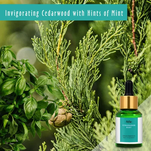Vista 2 de Aceite de Fragancia de Cedro y Menta, MitFlor Aceite Perfumado Individual, Aceite de Fragancia de Grado Premium para Hacer Velas, Aromas para Hacer