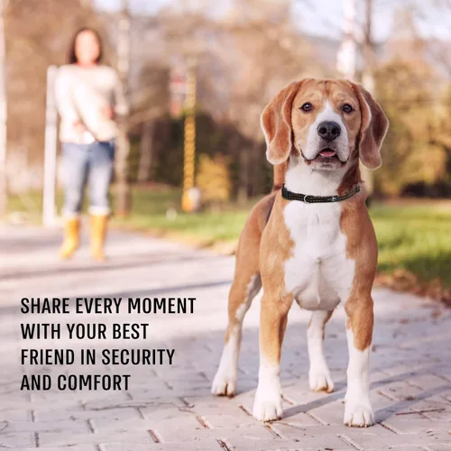 Vista 7 de Active Pets Collar de liberación rápida para perros pequeños y grandes, collar de seguridad ajustable con hebilla segura, comodidad transpirable