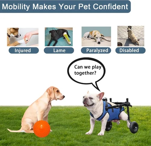 Vista 6 de Silla de ruedas ajustable para perro, scooter ligero para patas traseras, perros con un máximo de 22 libras, silla de ruedas para perros
