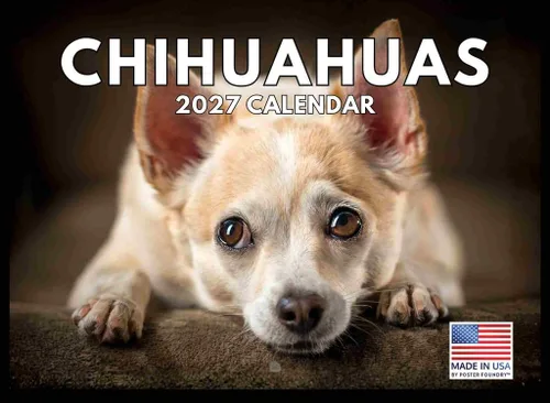Vista 61 de Calendario mensual de pared Airedale Terrier Dog 2027