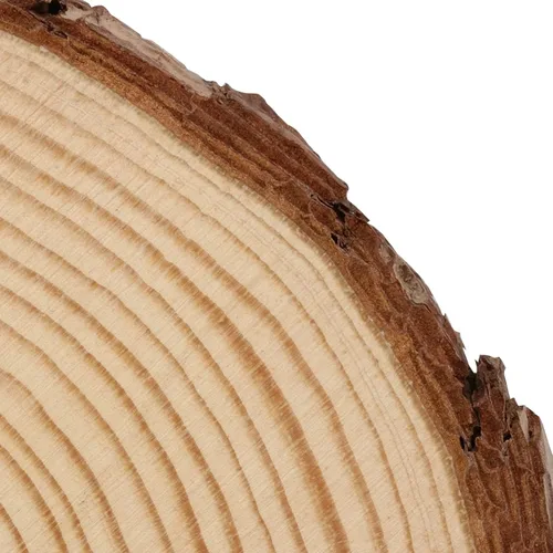 Vista 3 de KEILEOHO 8 piezas de rebanadas de madera natural de 8 a 9 pulgadas, círculos de madera de corteza de árbol para artes y manualidades, discos