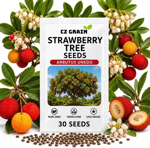 Vista 20 de CZ GRAIN Semillas de árboles exóticos para plantar (Baobab - 5 semillas)