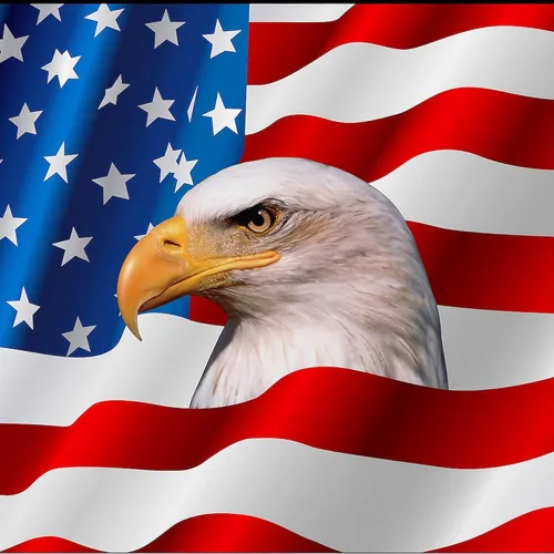 Vista 2 de CafePress Bald Eagle On American Flag Everyday Pillow Square Pillow, Decorative Accent Pillow Woven