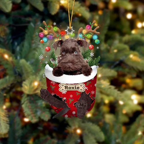 Vista 186 de LOVELYPOD Adorno Personalizado de Perro Affenpinscher, Adornos de Navidad Affenpinscher Regalo para Amante de Perros, Adorno de Navidad Colgante