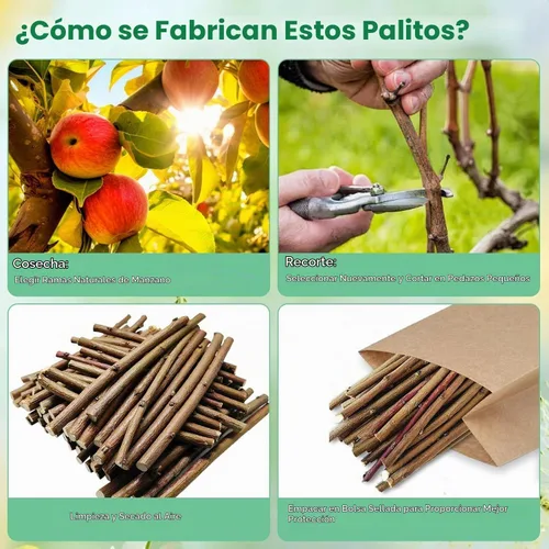 Vista 3 de Jorewood Palitos masticables de madera de manzana natural de 1 libra (16 onzas) para conejos, hámsters, chinchillas, juguete para moler dientes