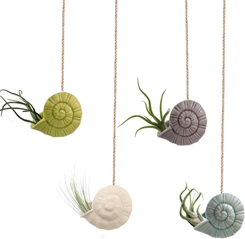 Vista 10 de Paquete de 4 soportes únicos para plantas de aire, lindo soporte de pared para plantas de aire de piña, soportes de cerámica Tillandsia para plantas