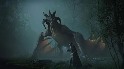 Vista 10 de Hogwarts Legacy - Nintendo Switch