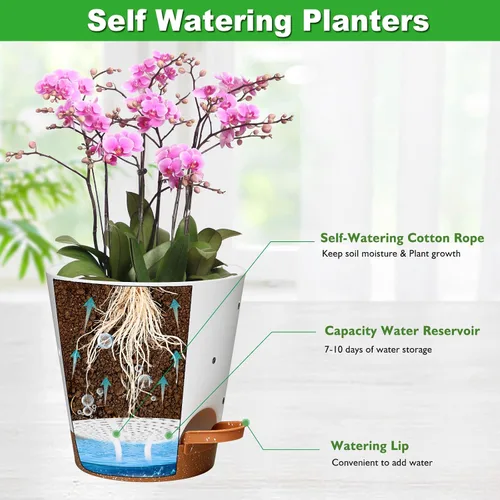 Vista 3 de 6 Inch Orchid Pot, 2 Pack Self Watering Plant Pots, Orchid Pots with Holes Blanco+Marrón