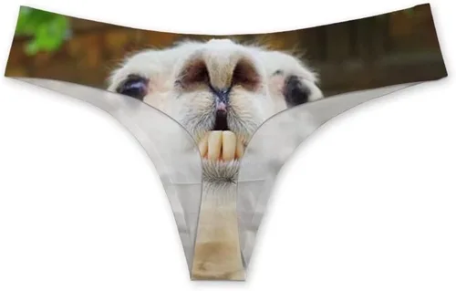 Vista 2 de Dellukee Ropa interior sexy de tanga para mujer, de corte alto, transpirable, elástica, cómoda, calzoncillo
