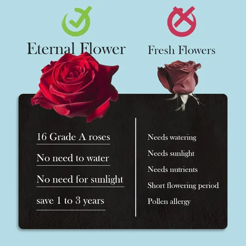 Vista 6 de 16 rosas preservadas en caja en forma de corazón, flores para entrega Prime que duran hasta 2 años, flores reales eternas para esposa, novia, madre
