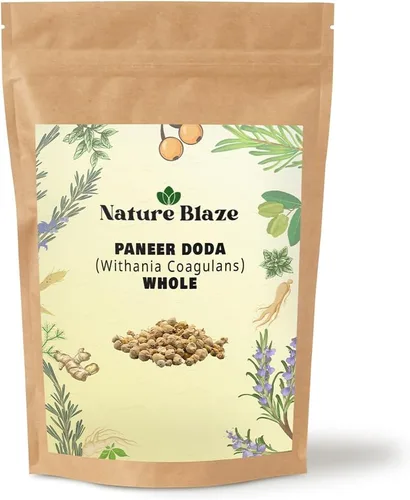 Vista 7 de Nature Blaze Paneer Phool de Ayurveda Paneer Doda/DODI Withania Coagulans Polvo 4 onzas (114 gm/0.25 libras)