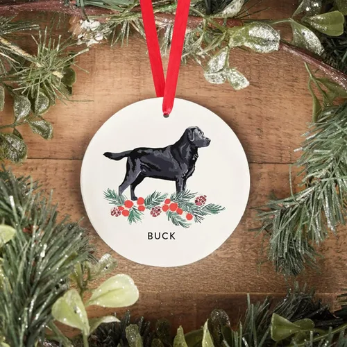 Vista 18 de Adornos de Navidad personalizados para perros, Adorno personalizado de perro boyero de Berna de Zmoicky, Adorno conmemorativo personalizado