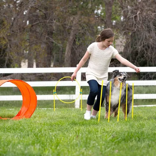 Vista 8 de Outward Hound Kit de entrenamiento de agilidad de perros Zipzoom para perros