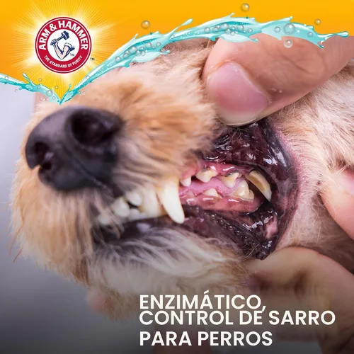 Vista 8 de Arm and Hammer Kit de cuidado completo para perros, sabor a pollo, 2.5 onzas