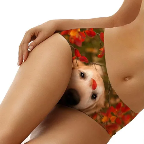 Vista 2 de Cumagical Ropa interior sexy para mujer, diseño retro de animales, bikini a la moda