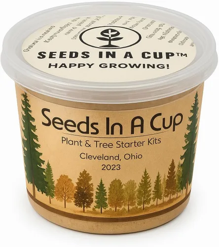 Vista 2 de Semillas en una taza - Kit de cultivo de plantas (espárragos)