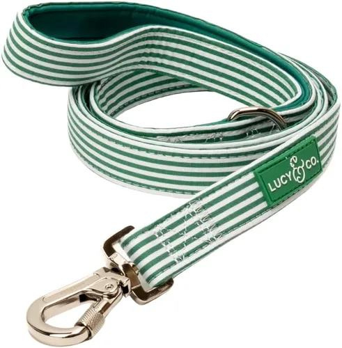 Vista 22 de Correa para perros de diseño Lucy & Co. - Accesorios para mascotas - Correa gruesa para perros - Asa acolchada para mayor comodidad - Entre