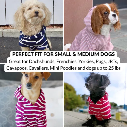Vista 8 de DJANGO Sudadera con capucha para perro, cálido, ligero, suave y elástico para perro, con capucha, orificio para arnés y cintura elástica, sudadera