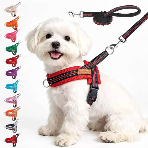 Vista 33 de BEAUTYZOO Arnés para Perros Pequeños, Juego de Arnés y Correa sin Tirones, Arnés de Pecho para Cachorros a Prueba de Escapes con Mango, Arnés Beige