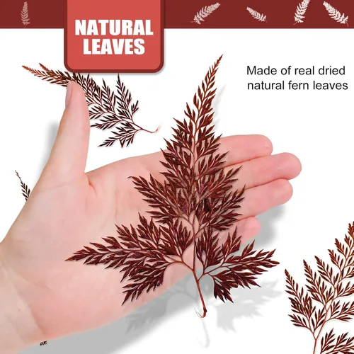 Vista 2 de ALJ Hojas de helechos secos, 42 hojas de helecho prensadas de color rojo natural, hojas prensadas para plantas reales para arte de resina