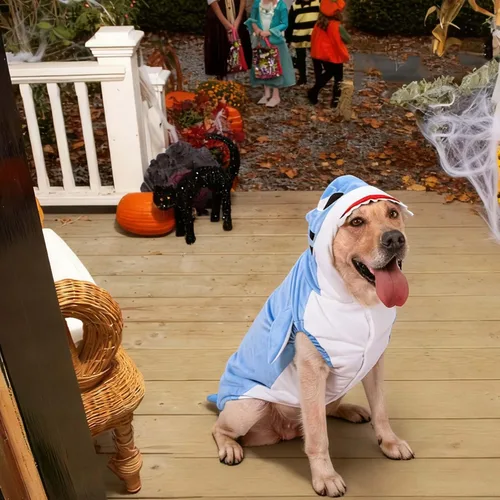 Vista 4 de Disfraz de tiburón para perro de Halloween para perro grande, chaqueta de forro polar de invierno, abrigo con capucha, ropa divertida para perro Azul