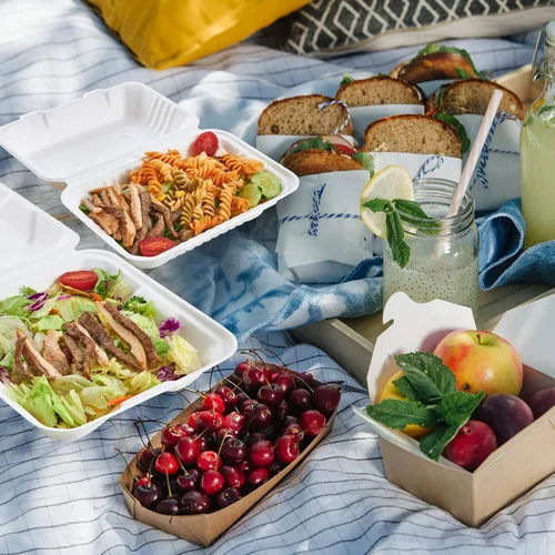 Vista 7 de ECOLipak Paquete de 50 recipientes de comida para llevar, 100% compostables, desechables, 8 x 8 pulgadas, cajas resistentes para llevar