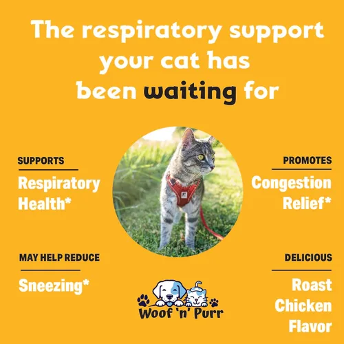Vista 3 de Lisina para gatos – L-Lisina para gatos – Puede ayudar con la salud respiratoria, estornudos, secreción nasal y más – Alivio del resfriado