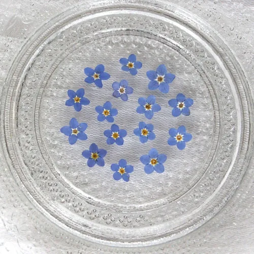 Vista 2 de Myosostis Sylvatica - 20 flores secas prensadas para resina, vela, resina epoxi, fabricación de jabón, álbumes de recortes, manualidades de Azul