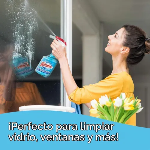 Vista 4 de Windex Recambio de 1 galón, repuesto de limpiador de vidrio 1 galón original
