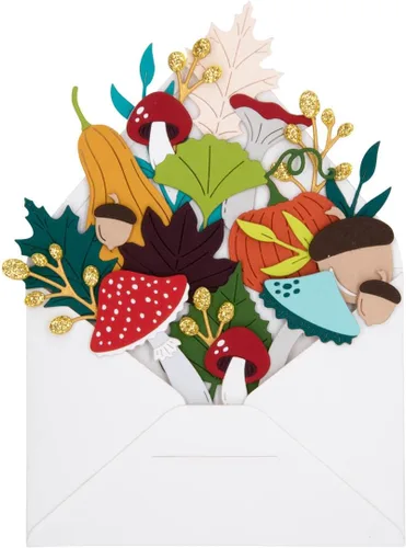 Vista 5 de Spellbinders Troqueles grabados S6-220 Autumn Wonder de The Envelope of Wonder Collection