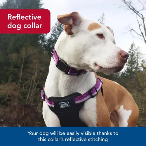 Vista 4 de Coastal Pet K9 Explorer - Collar reflectante ajustable para perro, cómodo collar para exteriores, accesorio duradero y ligero con hebilla de Baya