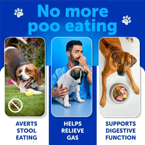 Vista 2 de No Poo Chews para perros, cachorros – Disuasorio para comer heces de coprofagia – Evita que el perro coma caca – Deja de comer golosinas para caca