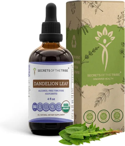 Vista 6 de Secrets of the Tribe Tintura de hoja de diente de león Extracto líquido sin alcohol, diente de león (Taraxacum Officinale) Hoja seca 2 FL OZ