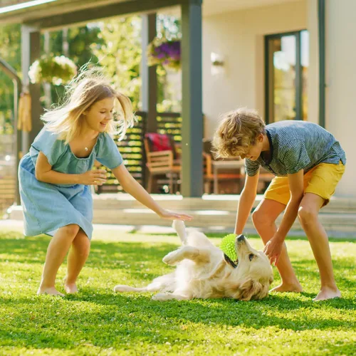 Vista 7 de Pweituoet Pelotas chirriantes de 2.5 pulgadas para perros pequeños y medianos, paquete de 6 juguetes masticables para perros pequeños con pincho