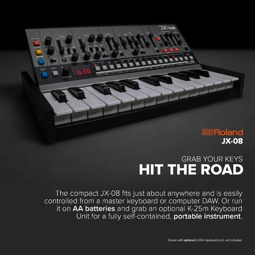 Vista 5 de ROLAND (JX-08)