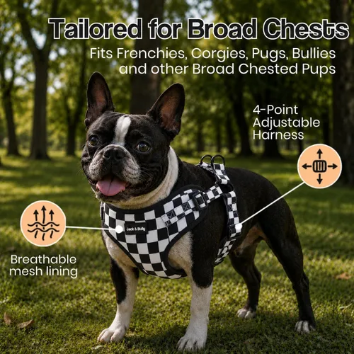 Vista 4 de Jack & Bully Arnés para perro, chaleco sin tirones, de neopreno ajustable, suave con malla transpirable, para todo tipo de clima, bulldog francés