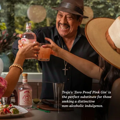 Vista 4 de Trejo's Spirits Alternativa a la Ginebra Rosa Sin Alcohol Sin Alcohol, Sin Gluten y Azúcar, A Base de Plantas, Apta para Keto 20 Calorías por