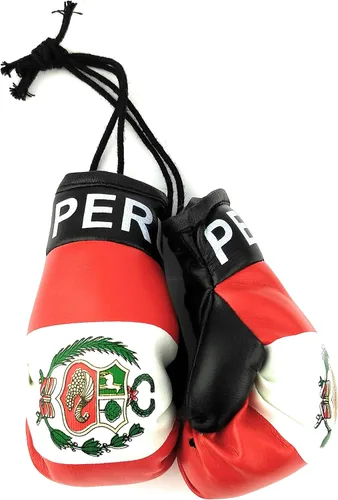 Vista 43 de Mini guantes de boxeo para colgar en el espejo del coche (Camerún)