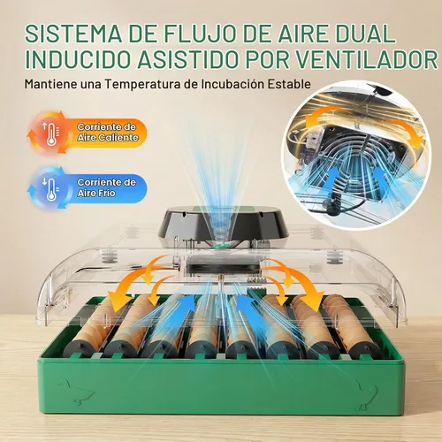 Vista 6 de Incubadora para incubación de 72 huevos para pollo/pato/codorniz