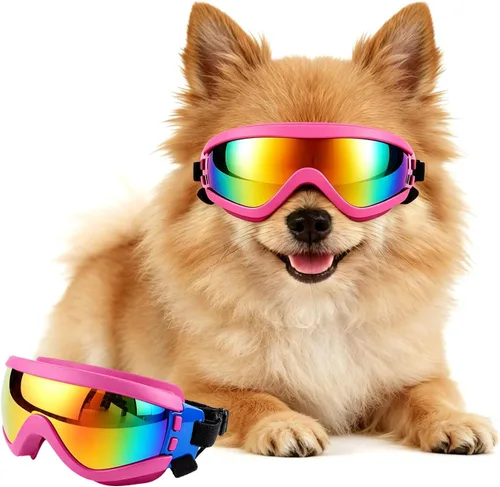 Vista 10 de Gafas de sol para perros de raza media, lentes reemplazables transparentes/negras, protección UV para perros medianos, protección ocular de perro