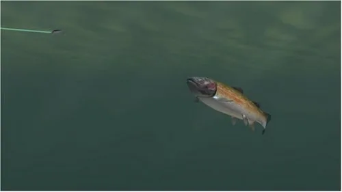 Vista 4 de Rapala Tournament Fishing - Xbox 360
