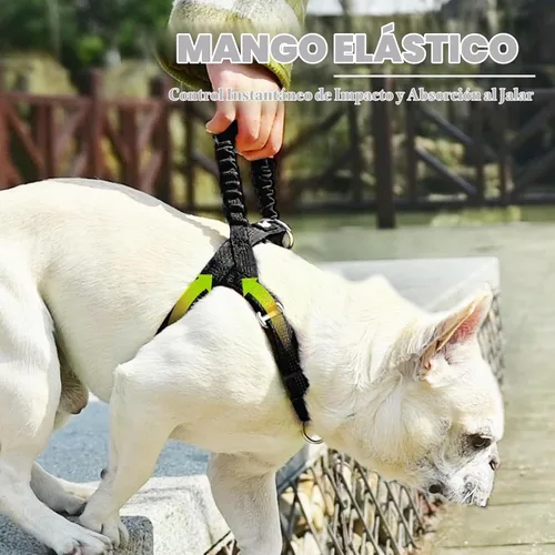 Vista 4 de PUPTECK Arnés sin tirones para perros grandes, chaleco arnés reflectante ajustable para mascotas con asa elástica, arnés a prueba de escape sin Negro
