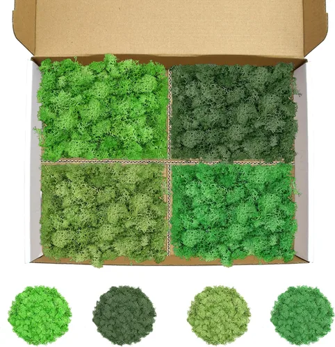 Vista 19 de Musgo de reno azul de 3.5 onzas, musgo preservado para plantas, decoración de musgo, musgo verde para manualidades, musgo para plantas en maceta